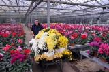 Secteur professionnel : Productions horticoles (Scolaire / Apprentissage)